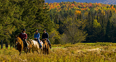 Bretton Woods horseback riding