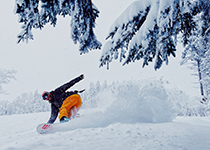 Bretton Woods Snowboarding