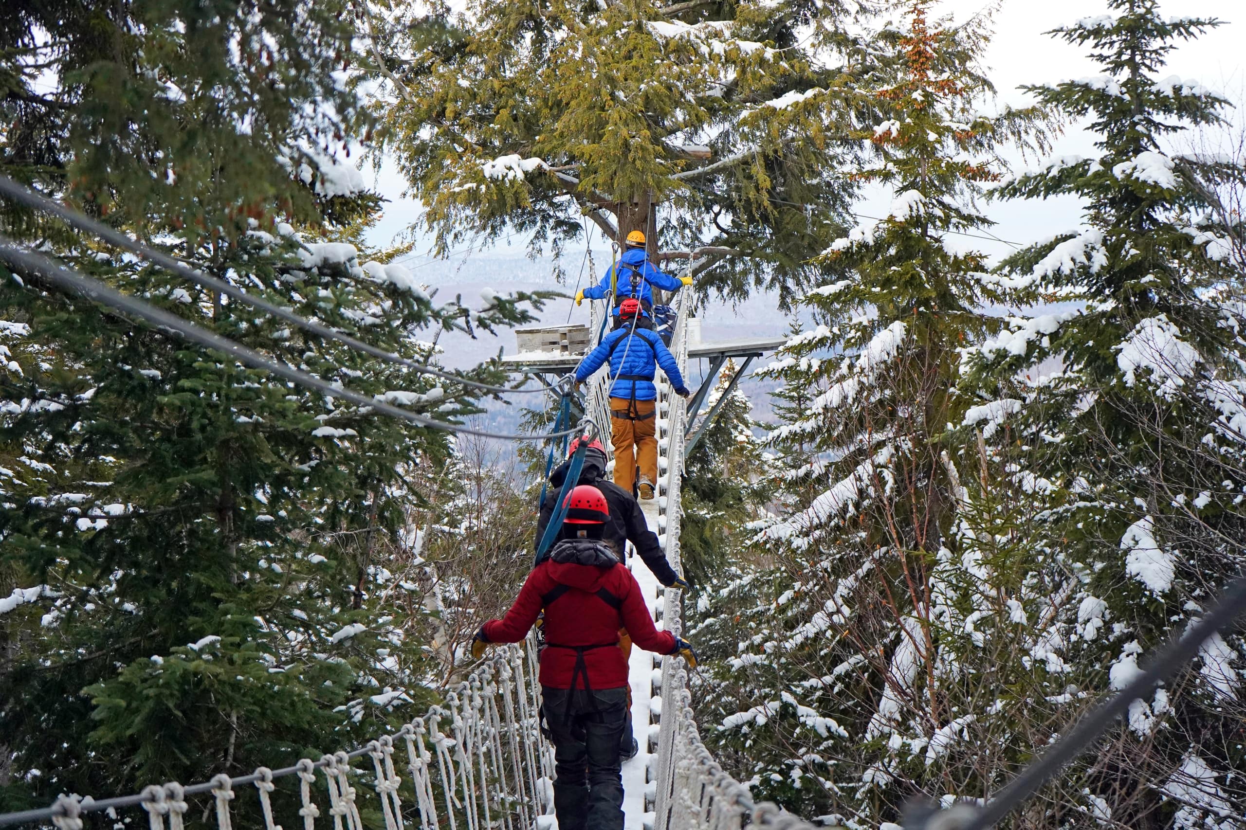 People wearing winter gear cross a snowy rope bridge high among evergreen trees during a canopy tour at Bretton Woods.