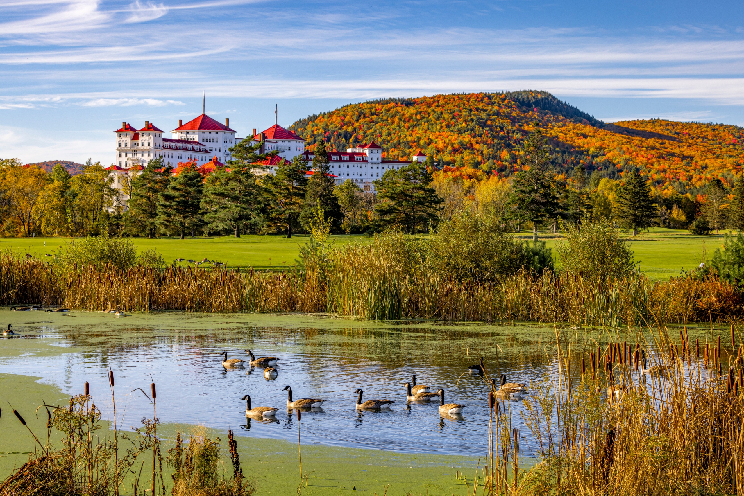 Mount Washington Resort and Spa sits at the bottom of a mountain covered in trees in vibrant fall colours with a group of geese swimming in the pond in front.