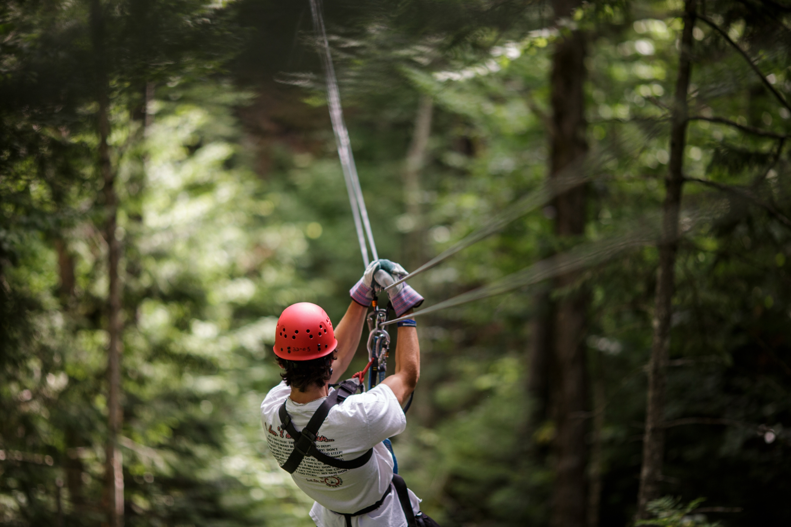 A man crosses the forest canopy on a zip-line.