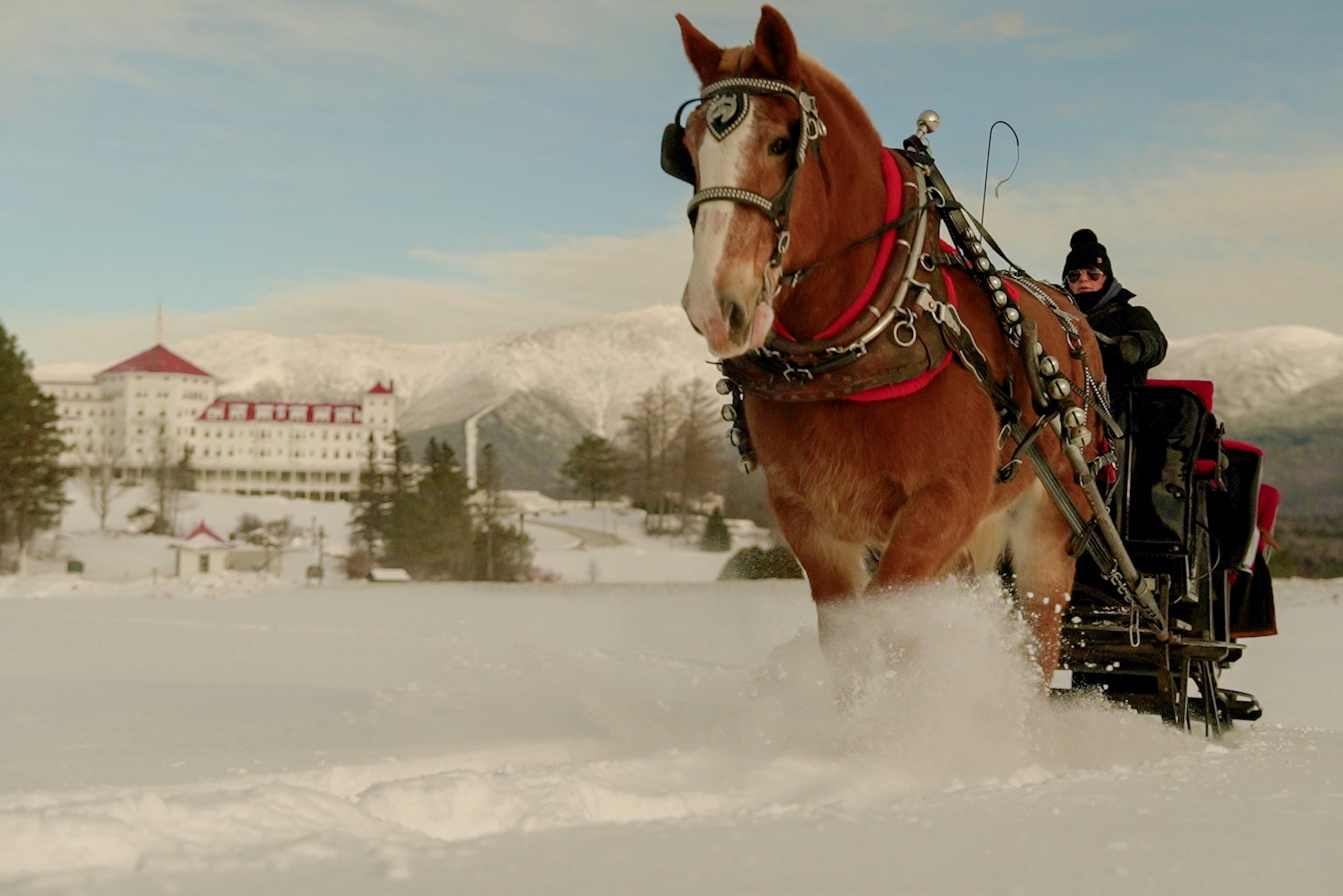A horse pulls a sleigh through deep snow, with Mount Washington Resort and Spa in the distance.
