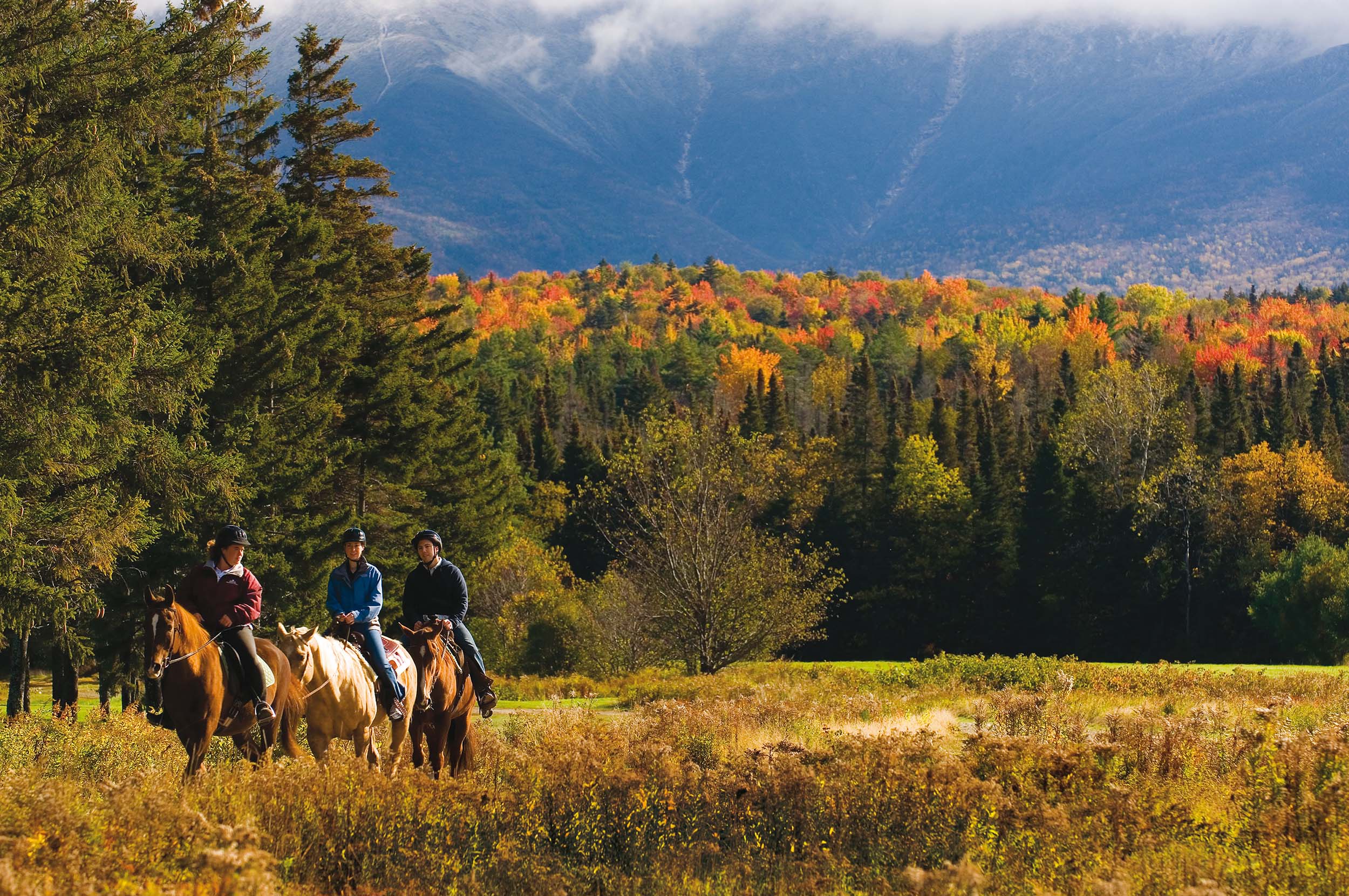 A group travels by horse on a trail ride through Bretton Woods