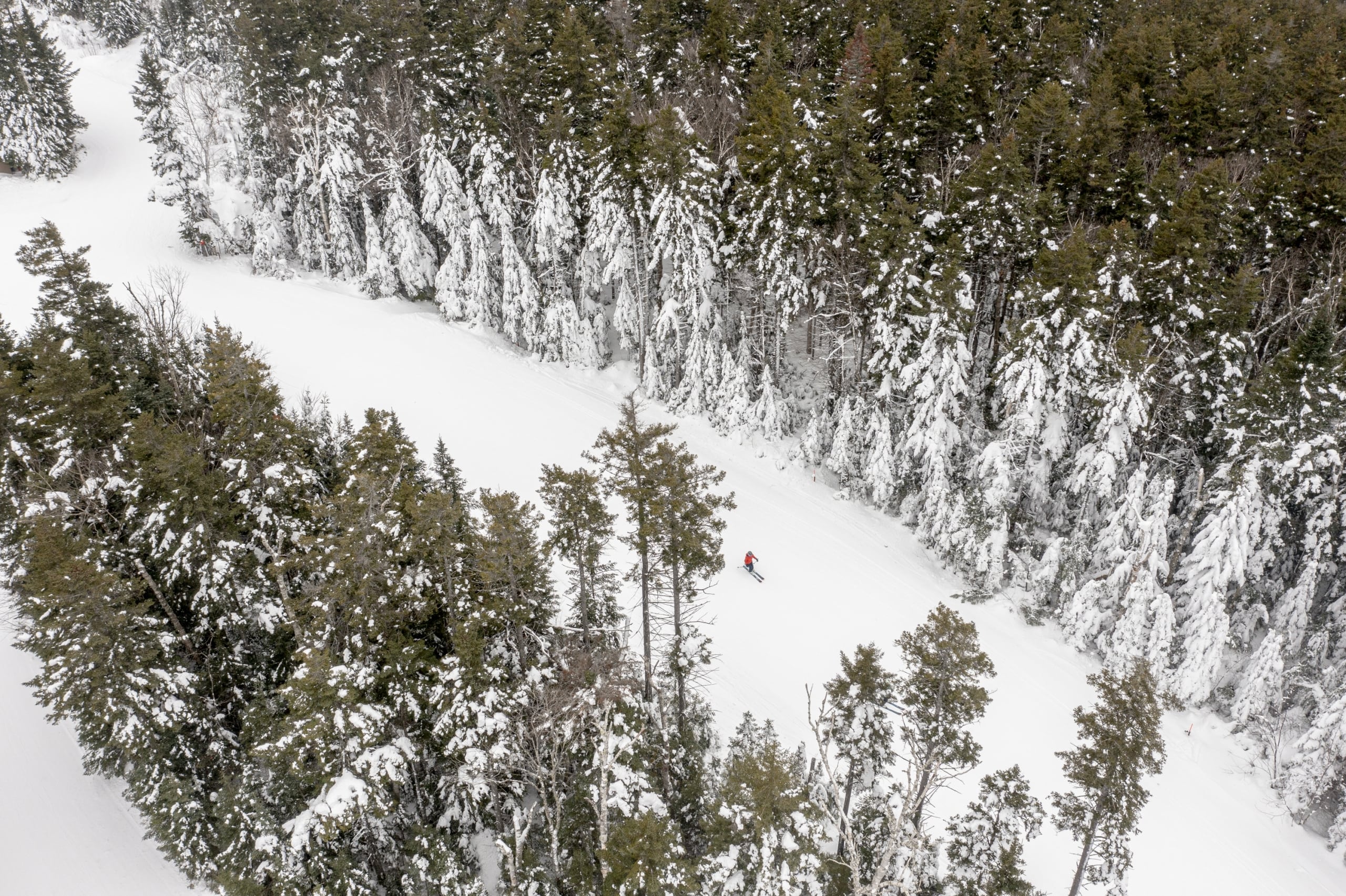 An aerial view of a skier descending a trail at Bretton Woods.