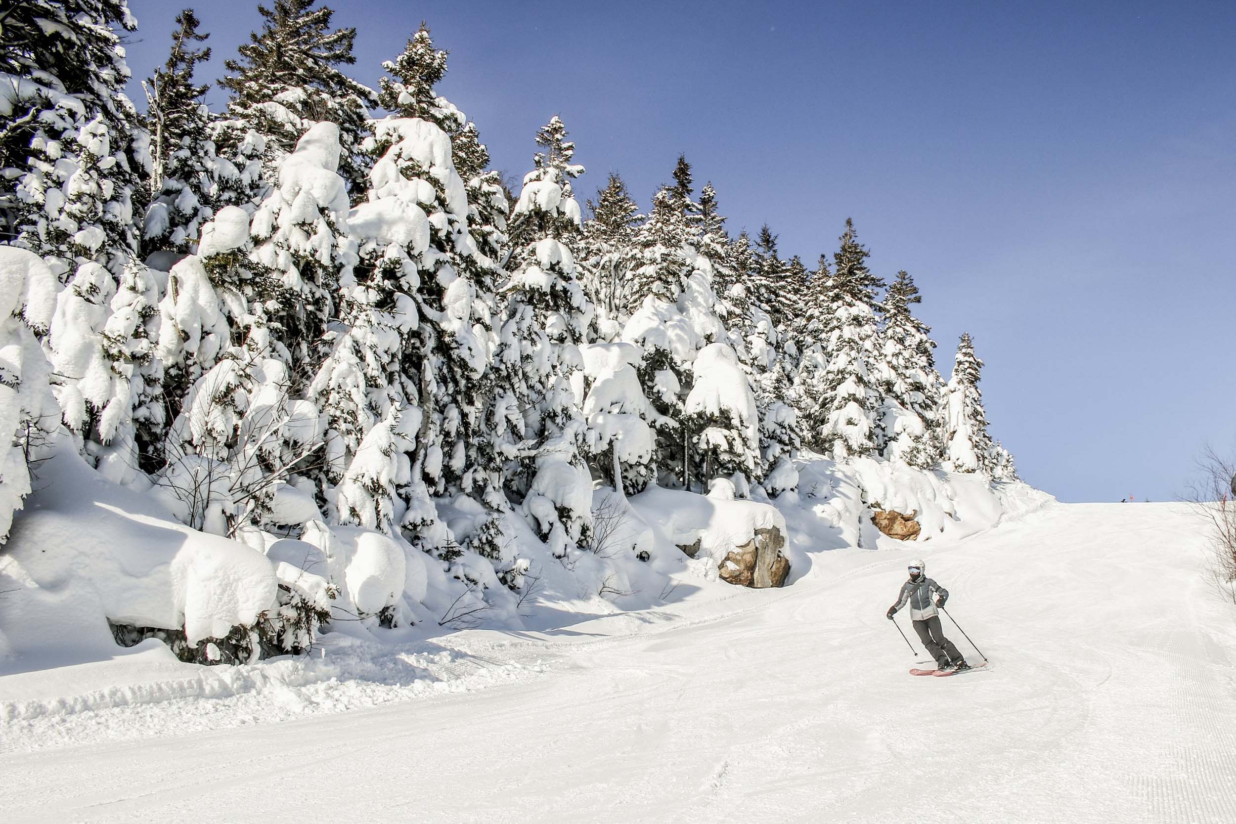 A skier glides through a snowy trail at Bretton Woods.