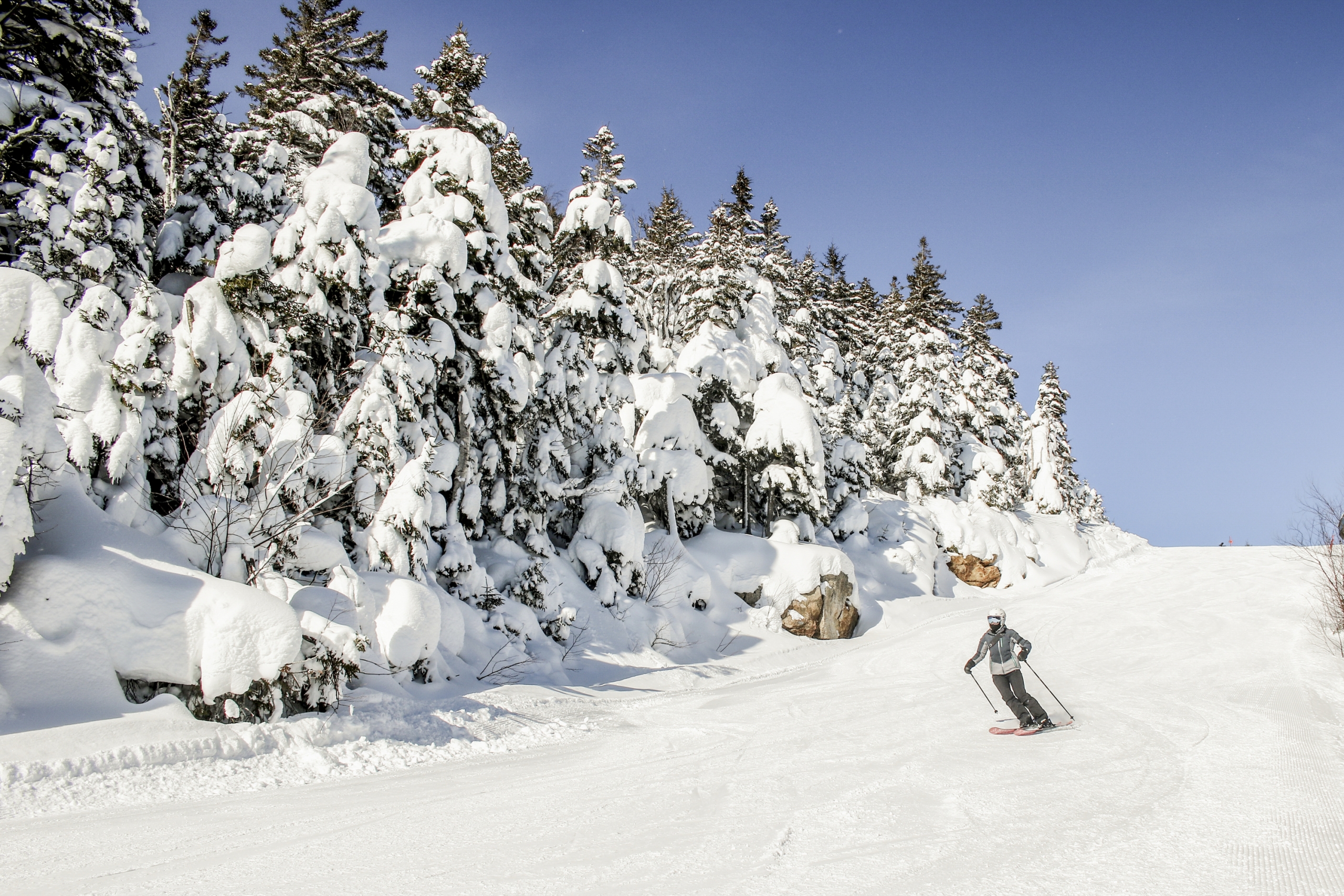 A skier glides through a snowy trail at Bretton Woods.