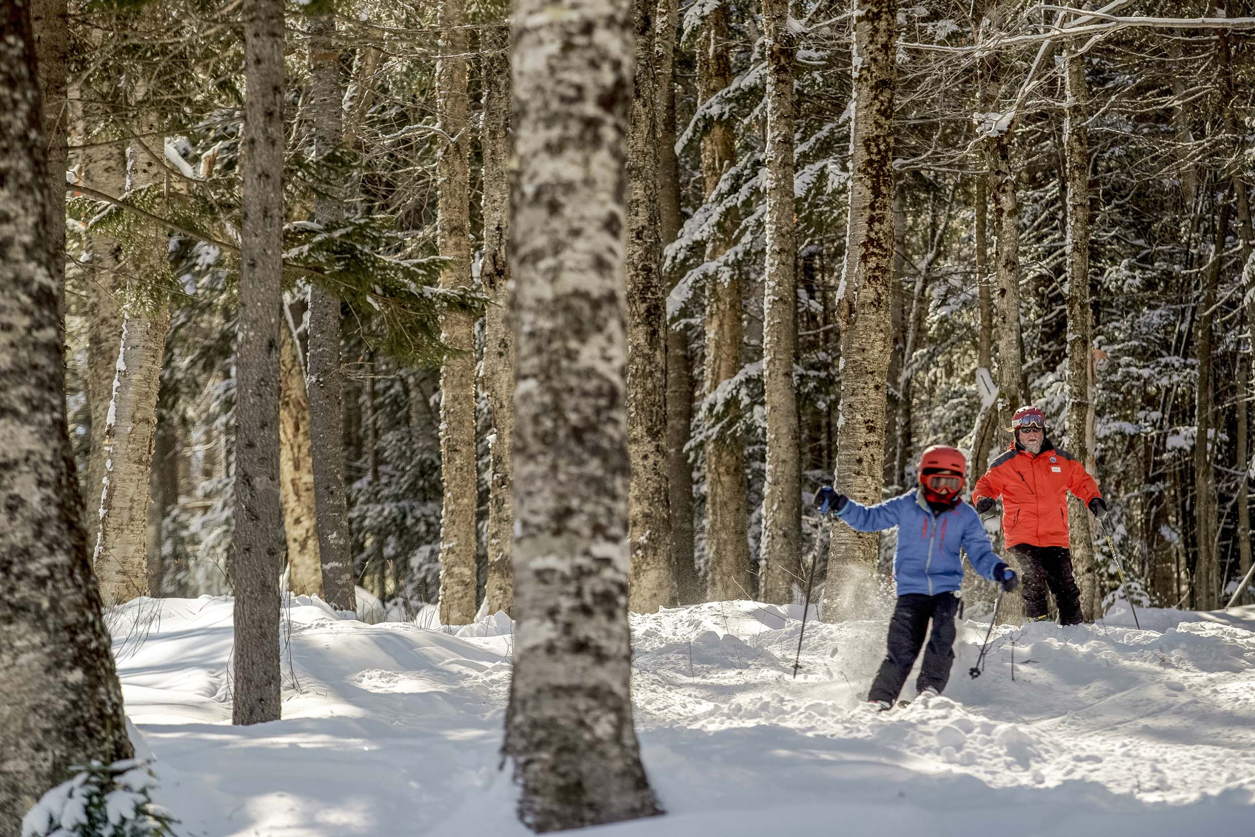 Two skiers navigate through a snow-covered forest on a sunny winter day at Bretton Woods.