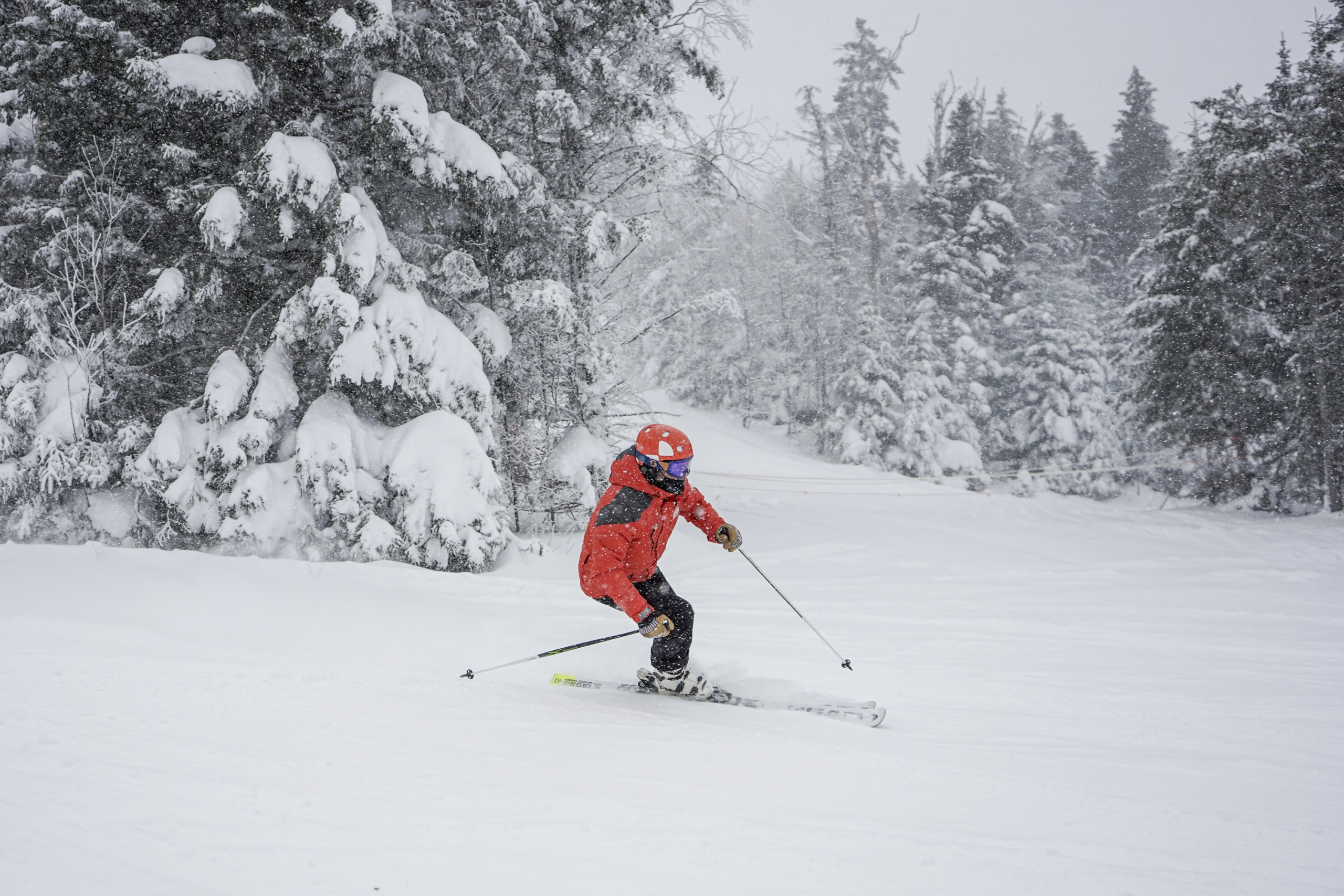 A skier navigates a blustery trail at Bretton Woods.
