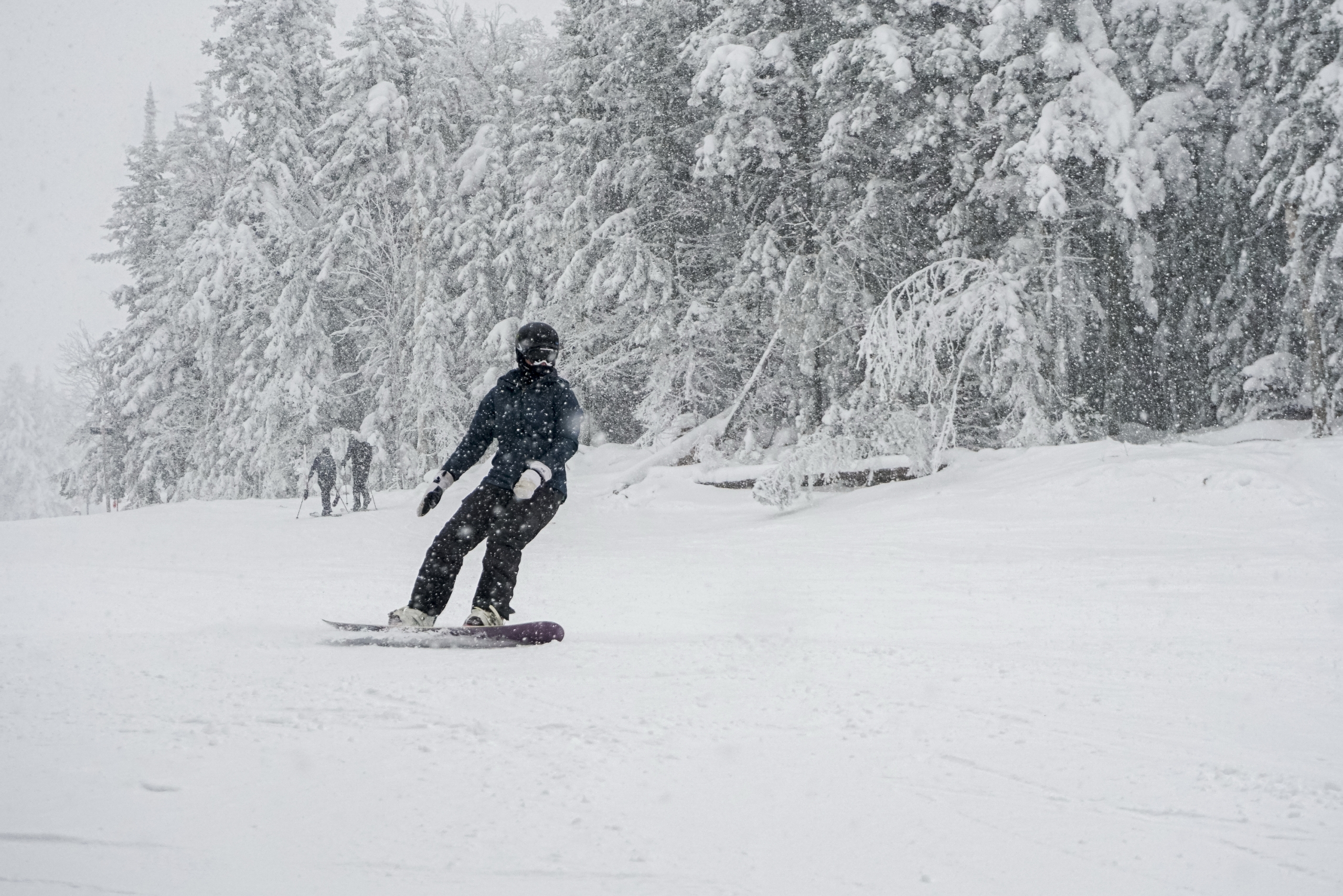 A snowboarder carves down the slope under snowfall.
