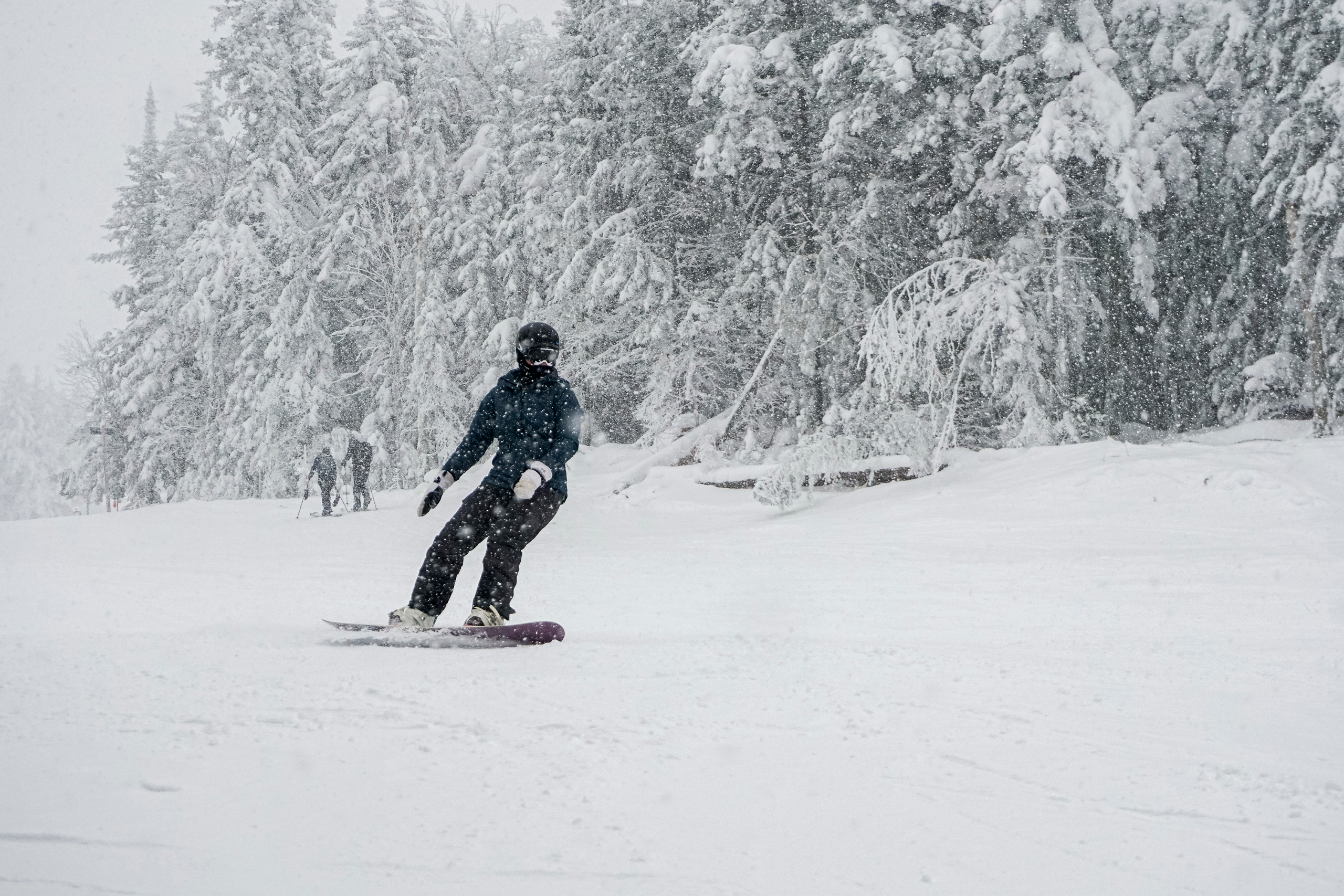 A snowboarder navigates blustery weather while gliding down a snowy trail at Bretton Woods.