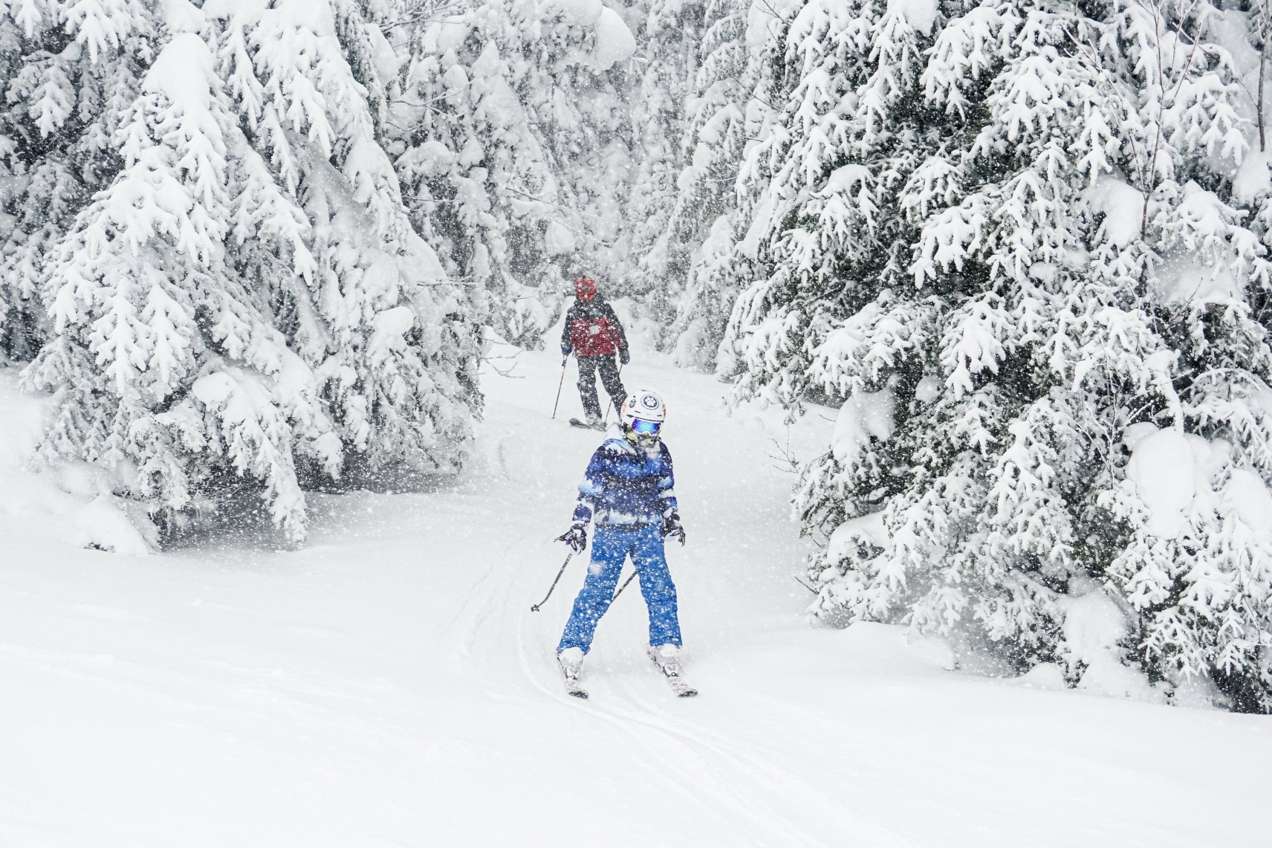 Two skiers navigate through a snowy trail lined with trees at Bretton Woods.