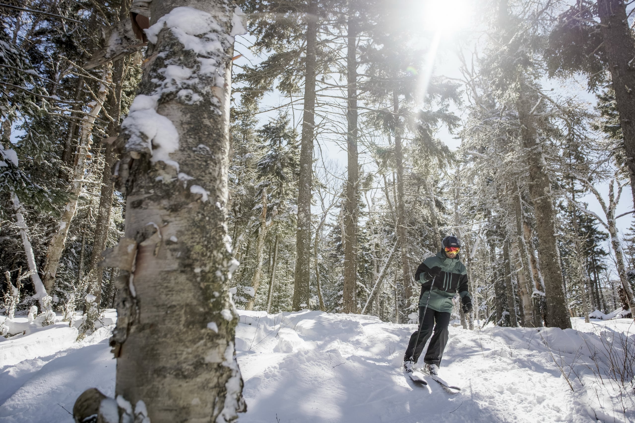 A skier navigates through a snowy forest at Bretton Woods.