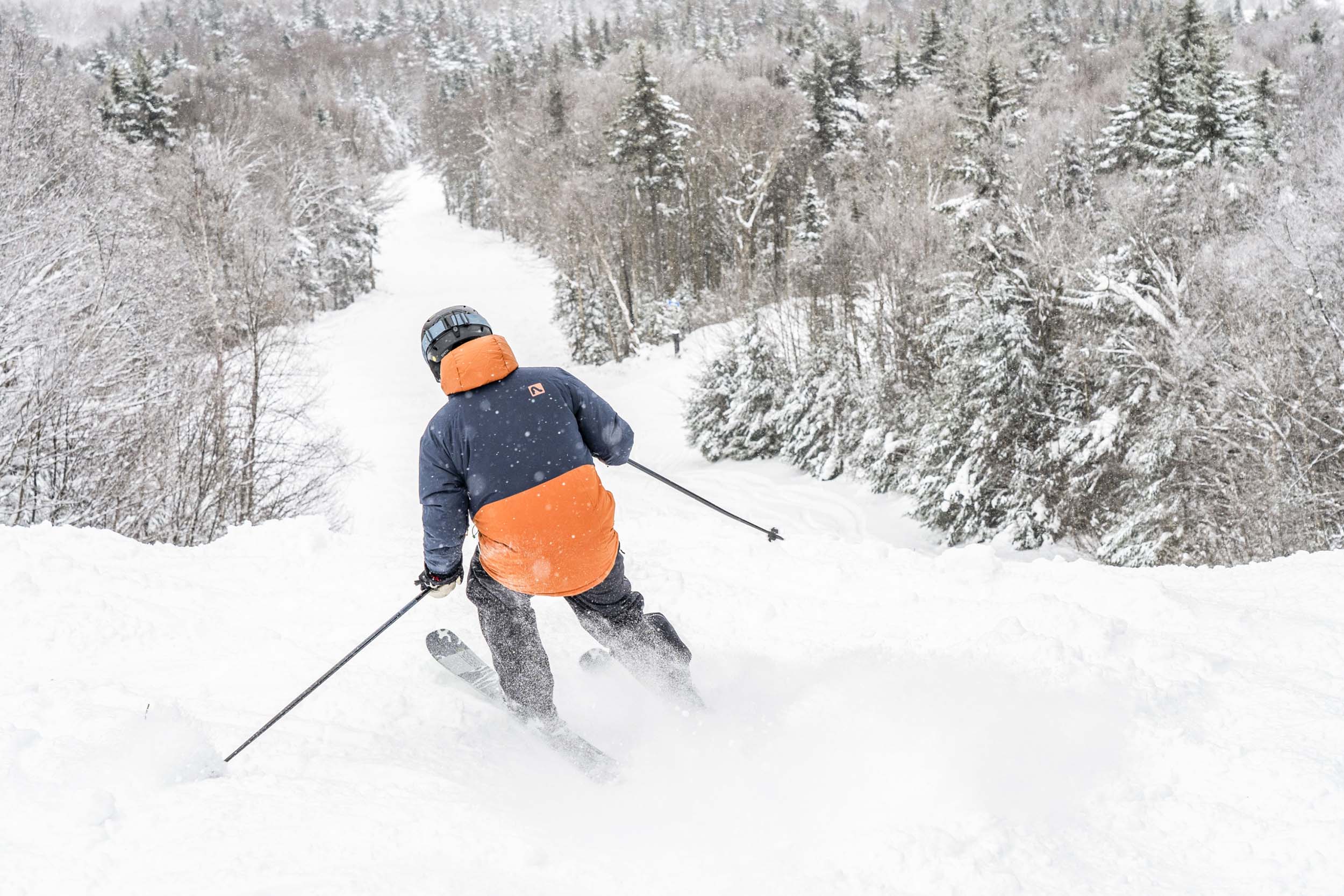 A skier carves through fresh snow down a tree-lined mountain slope at Bretton Woods.