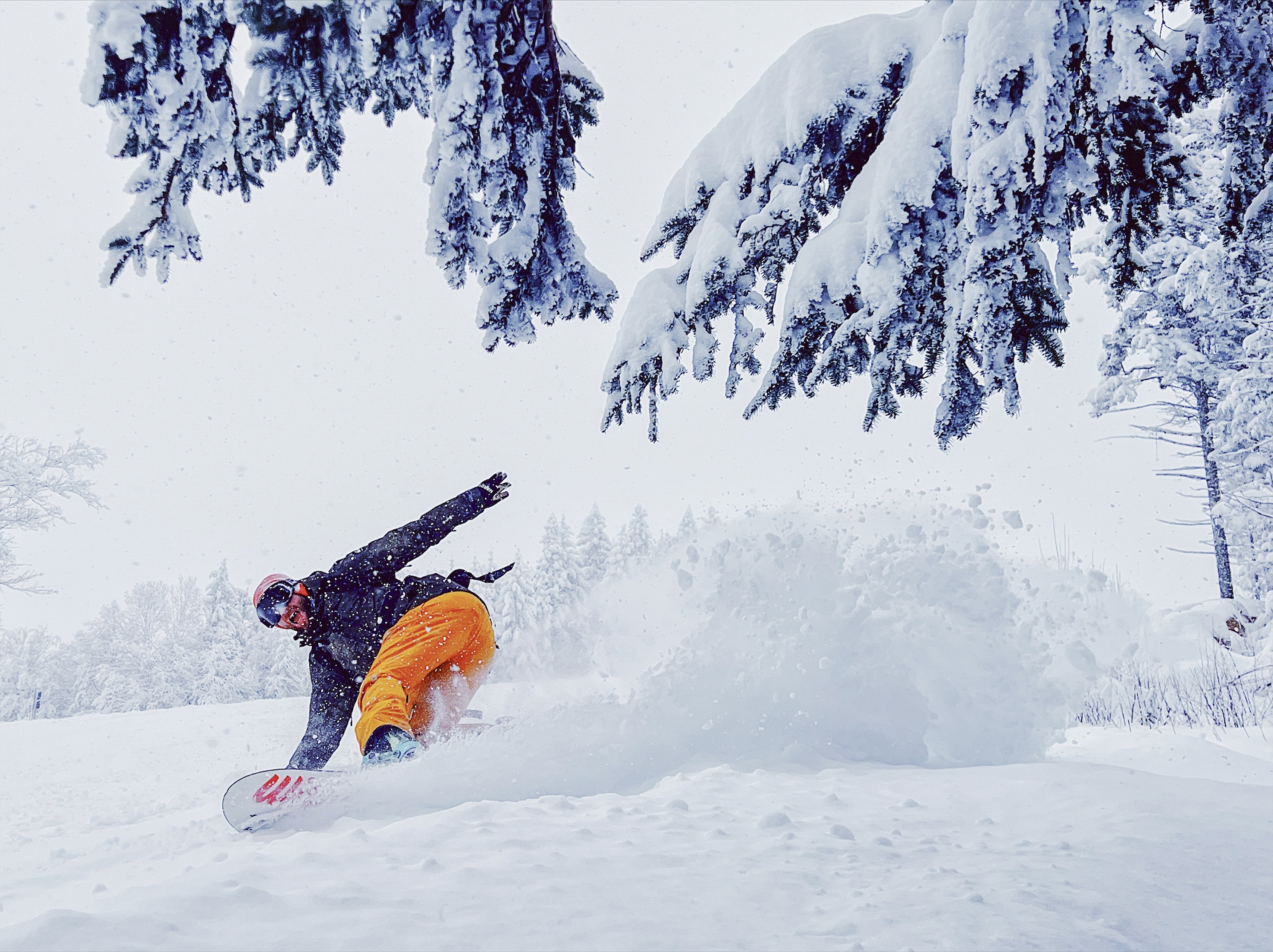 A snowboarder pivots sending powdery white snow into the air while going down a ski hill at Bretton Woods.