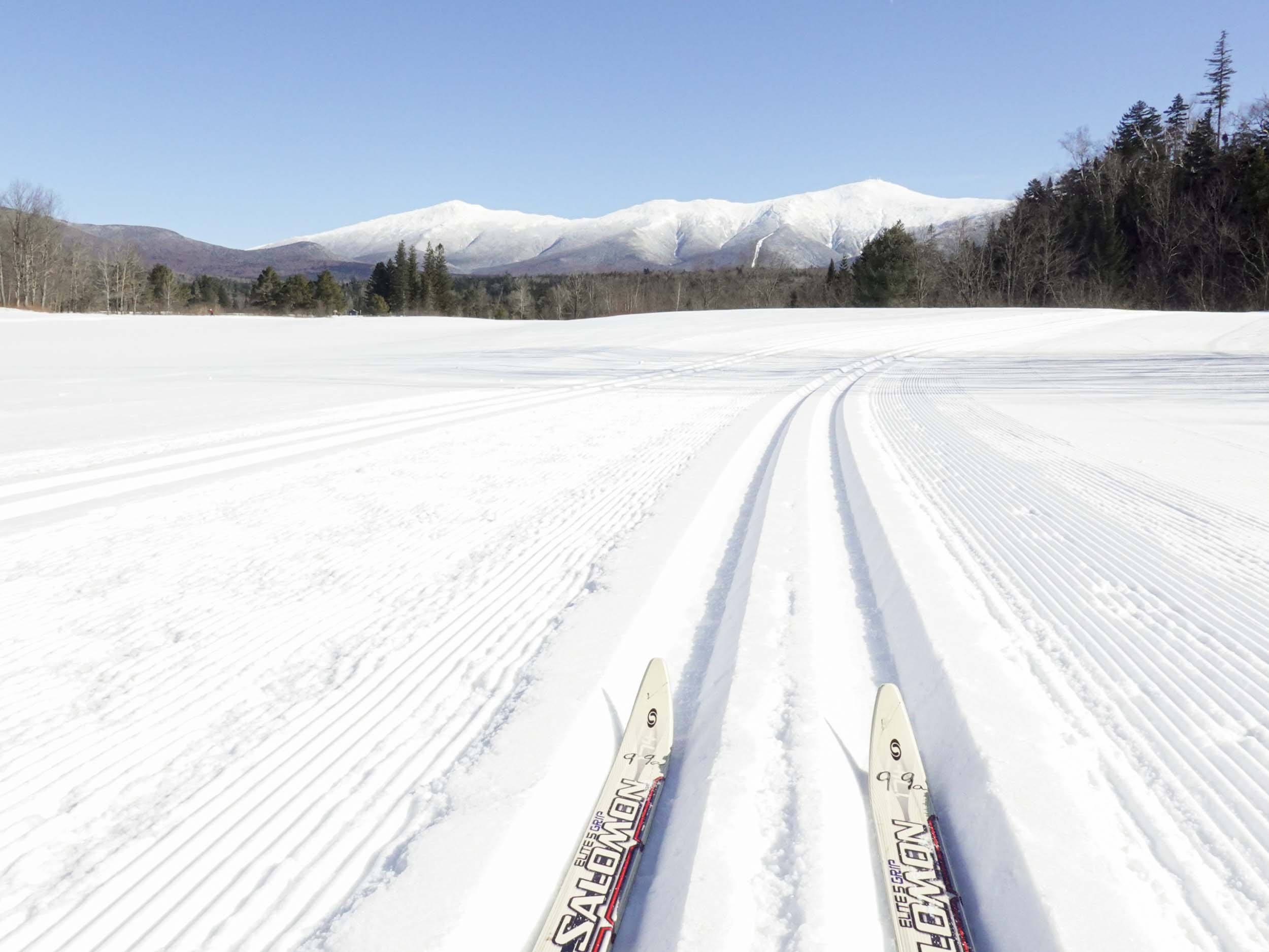The tips of two skis rest on bright white snow under a clear, sunny sky at Bretton Woods.