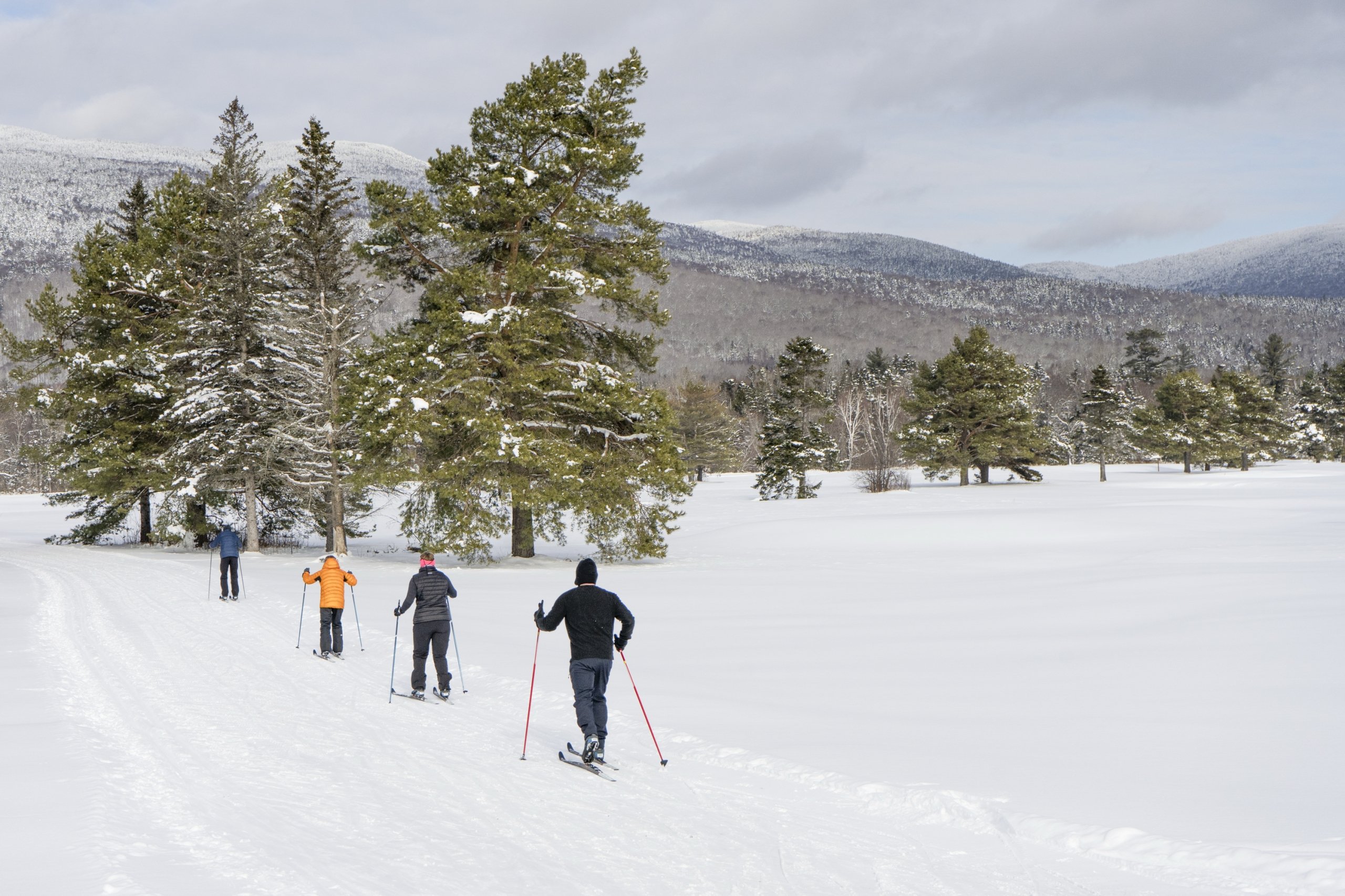 A group of four people cross-country ski across a snow-covered field at Bretton Woods.