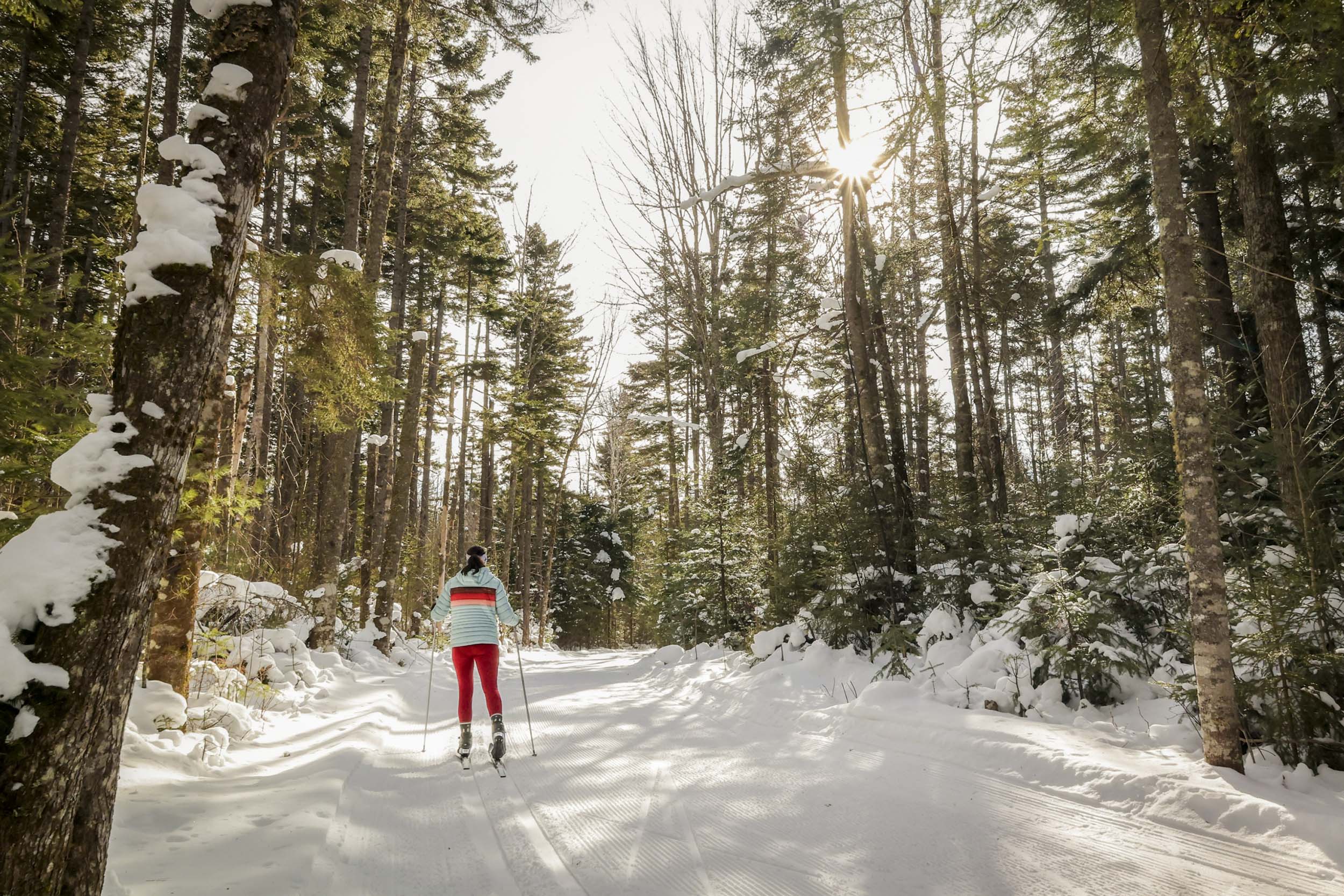 A nordic skier passes through a forest trail at Bretton Woods.