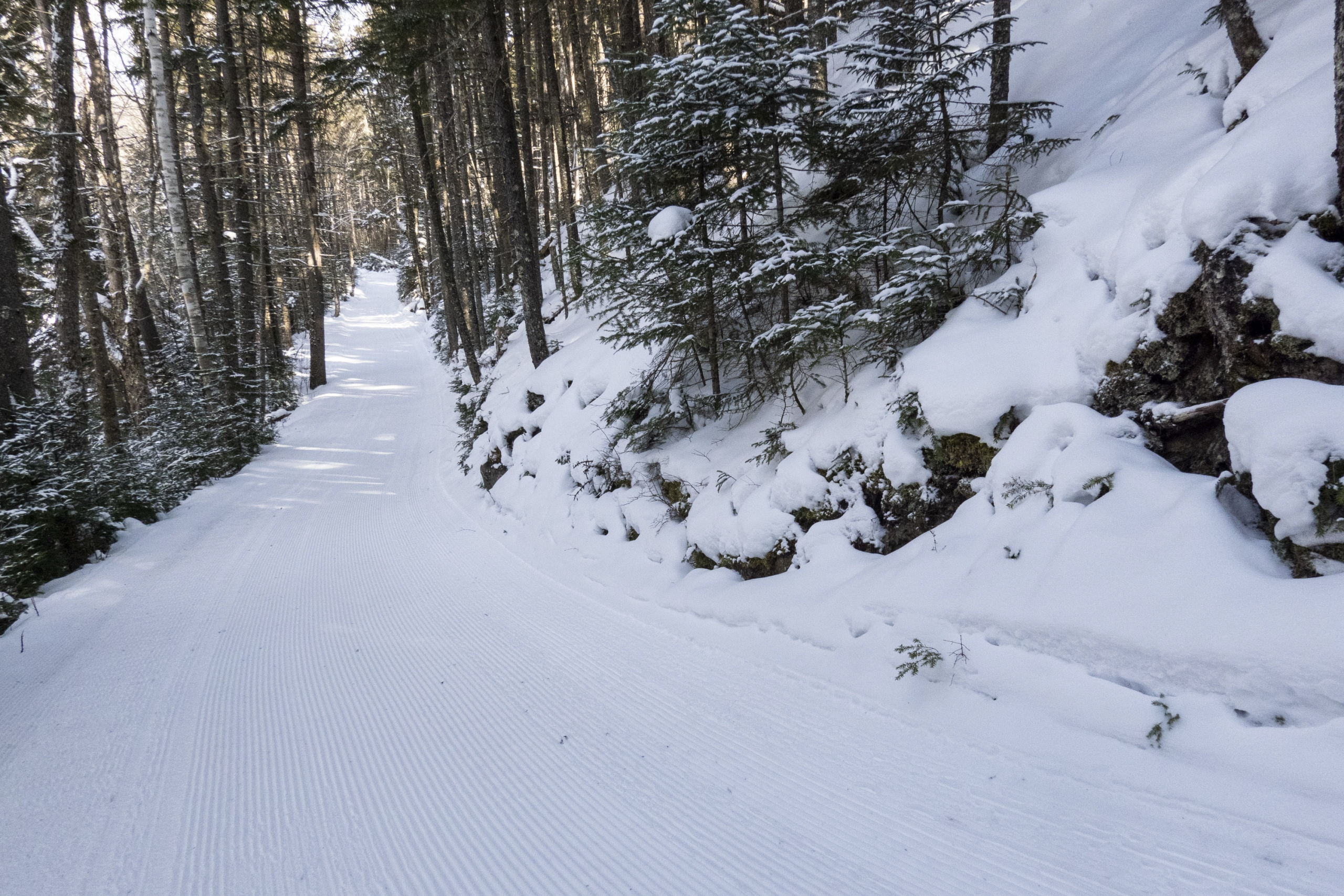 A snowy, groomed cross-country ski trail winding uphill through a dense, quiet forest at Bretton Woods.