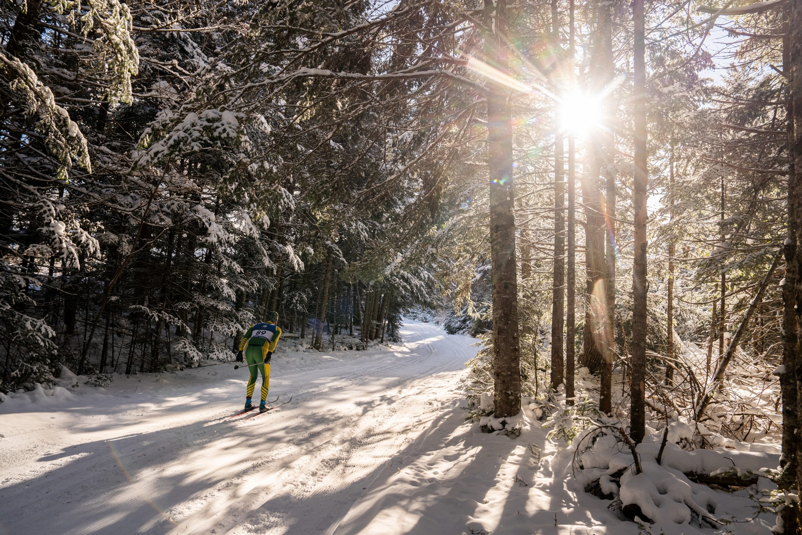A skier glides through the forested trail with the sun peeking through the trees at Mount Washington Resort and Spa.