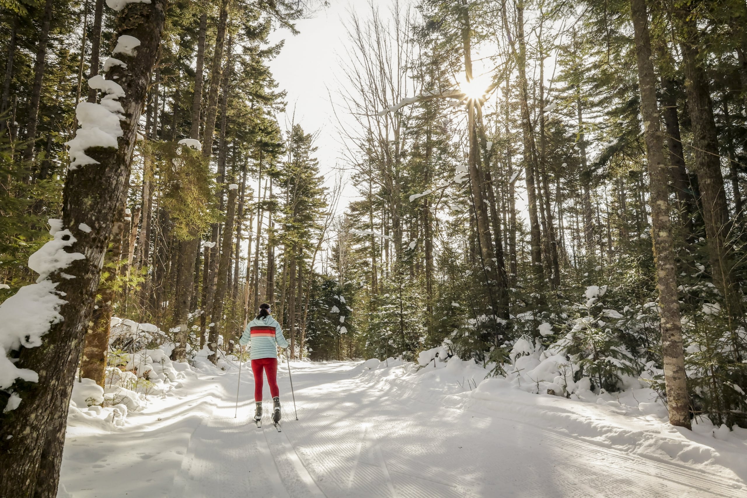 A nordic skier passes through a forest trail at Bretton Woods.