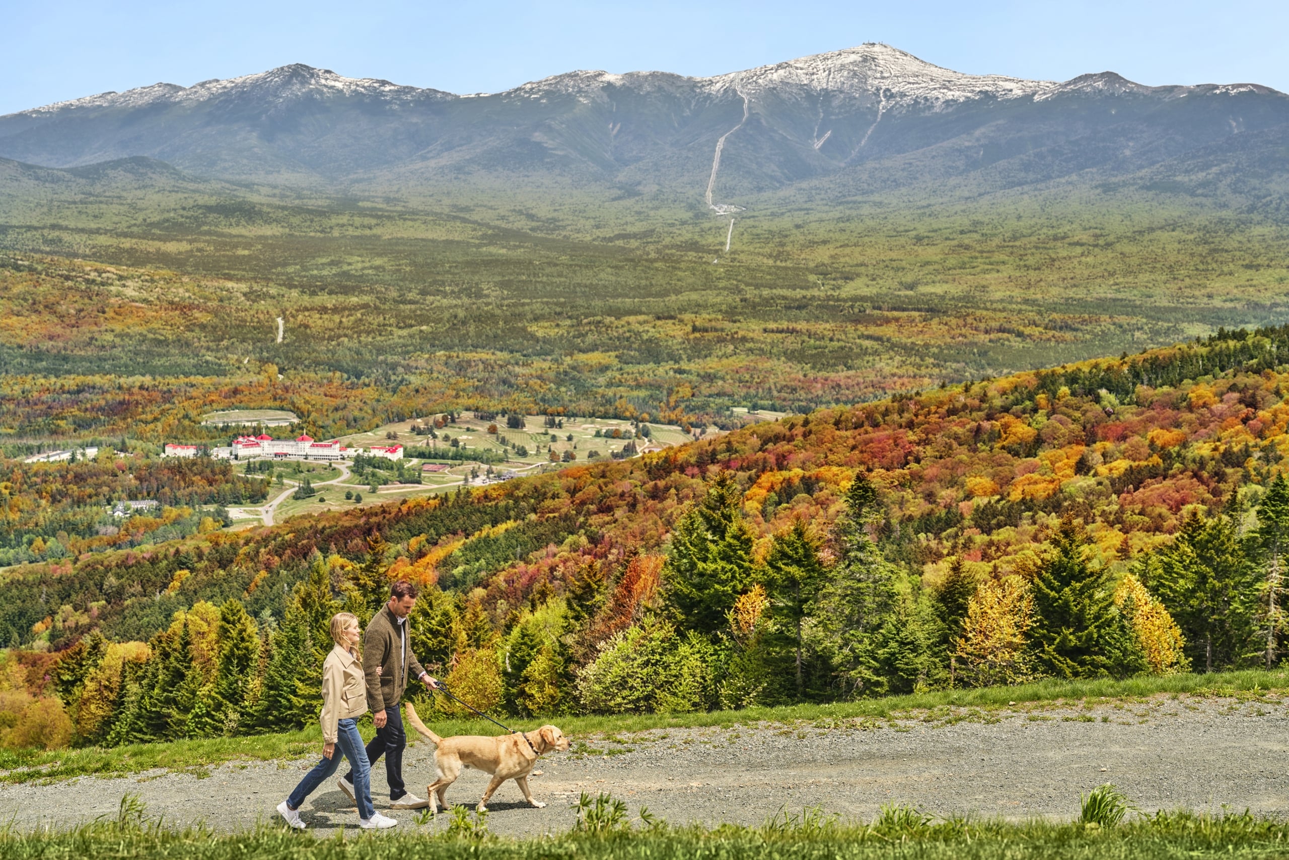 Family hiking at the summit of Bretton Woods with dog in fall foliage