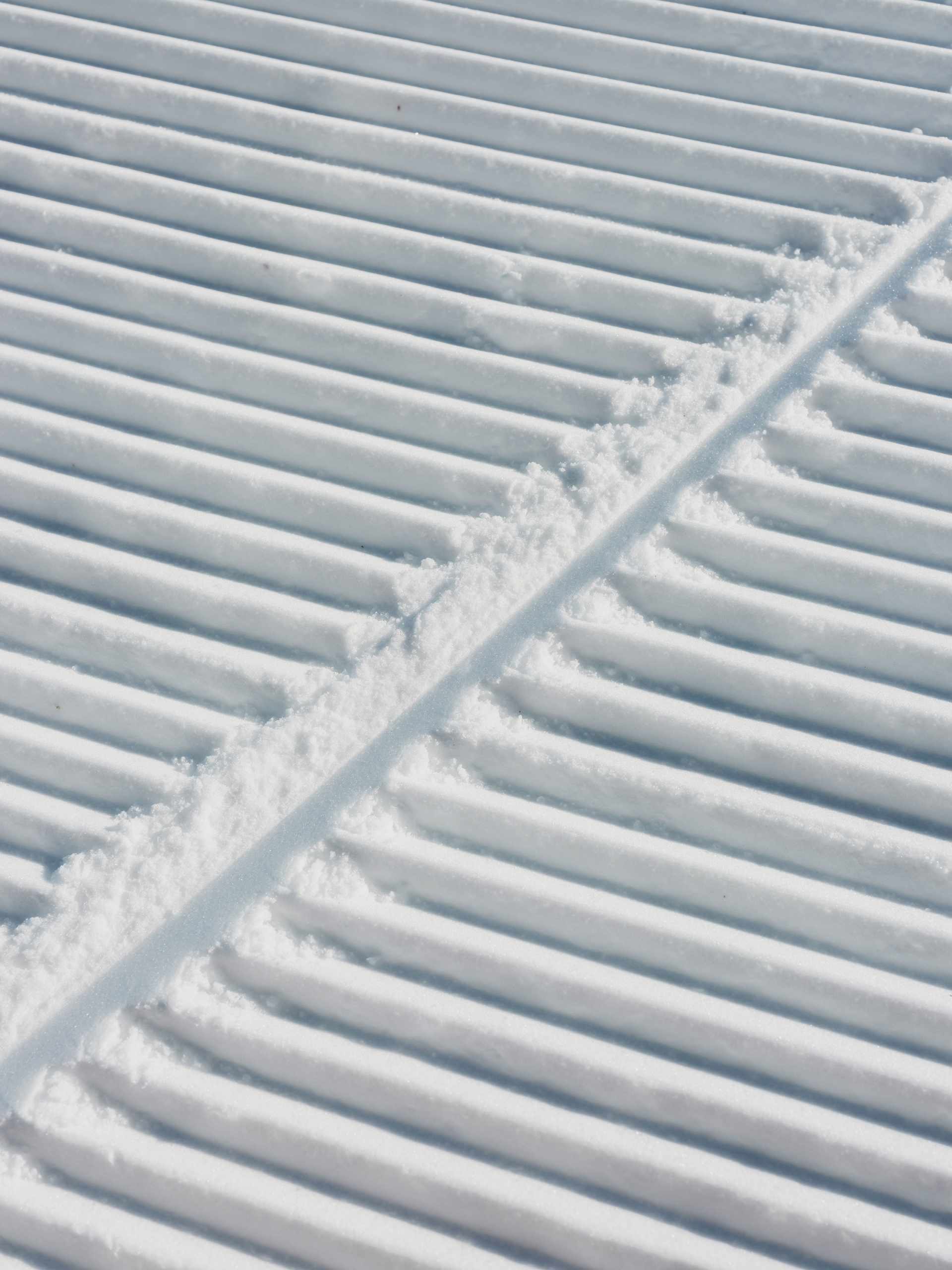 Bretton Woods grooming and corduroy