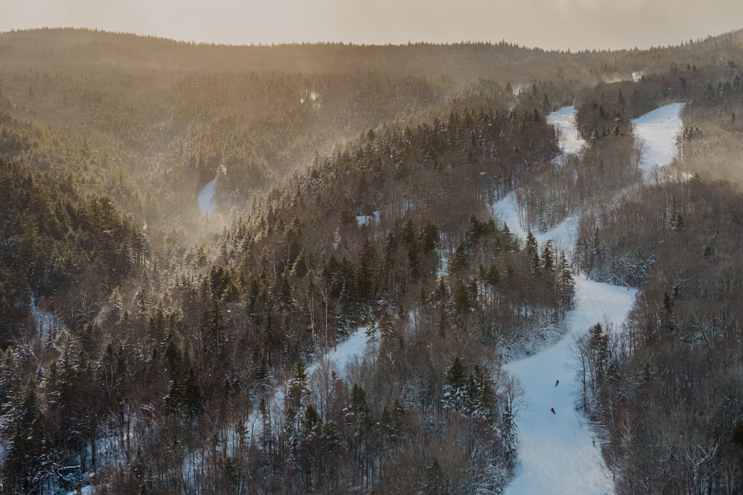 Glade skiing at Bretton Woods Ski Area