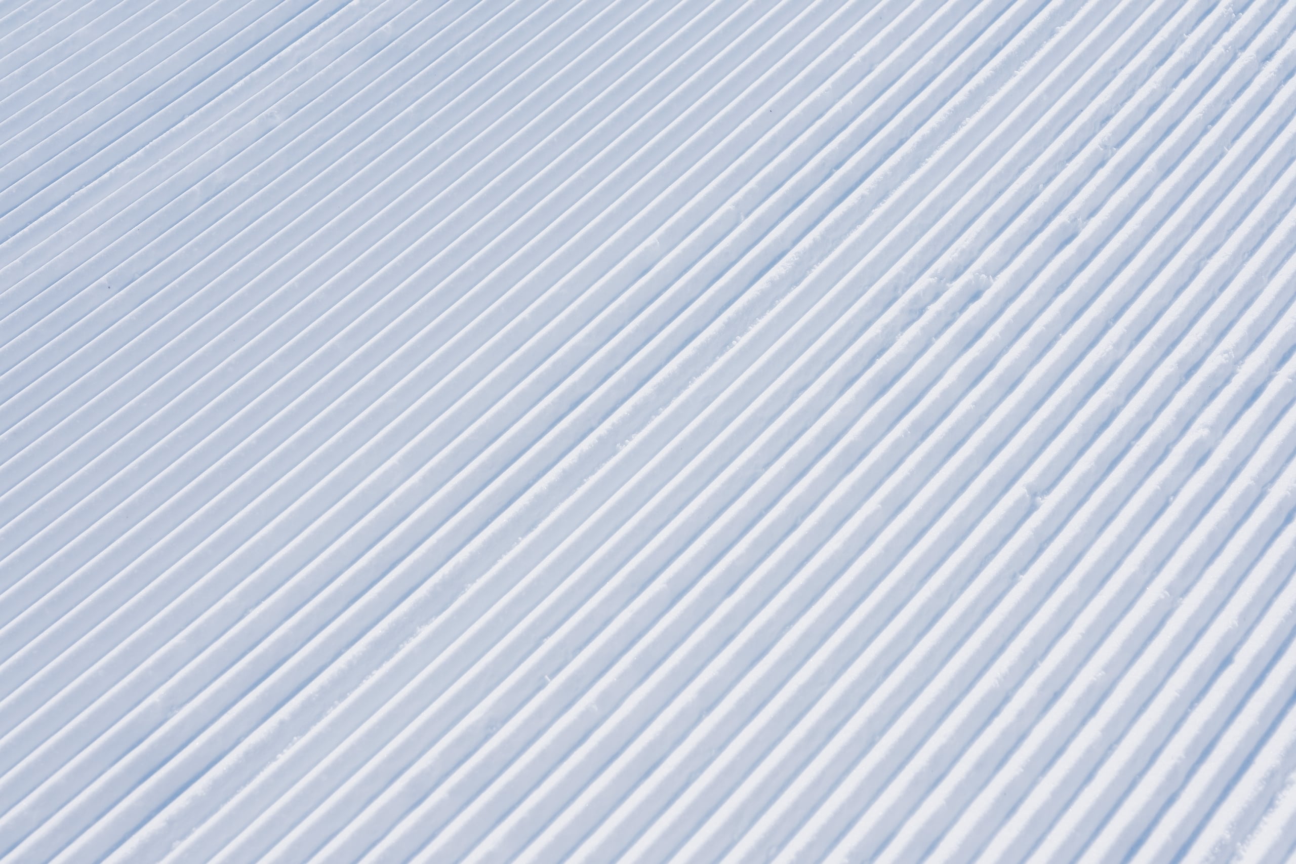 Bretton Woods Ski Area Best Grooming