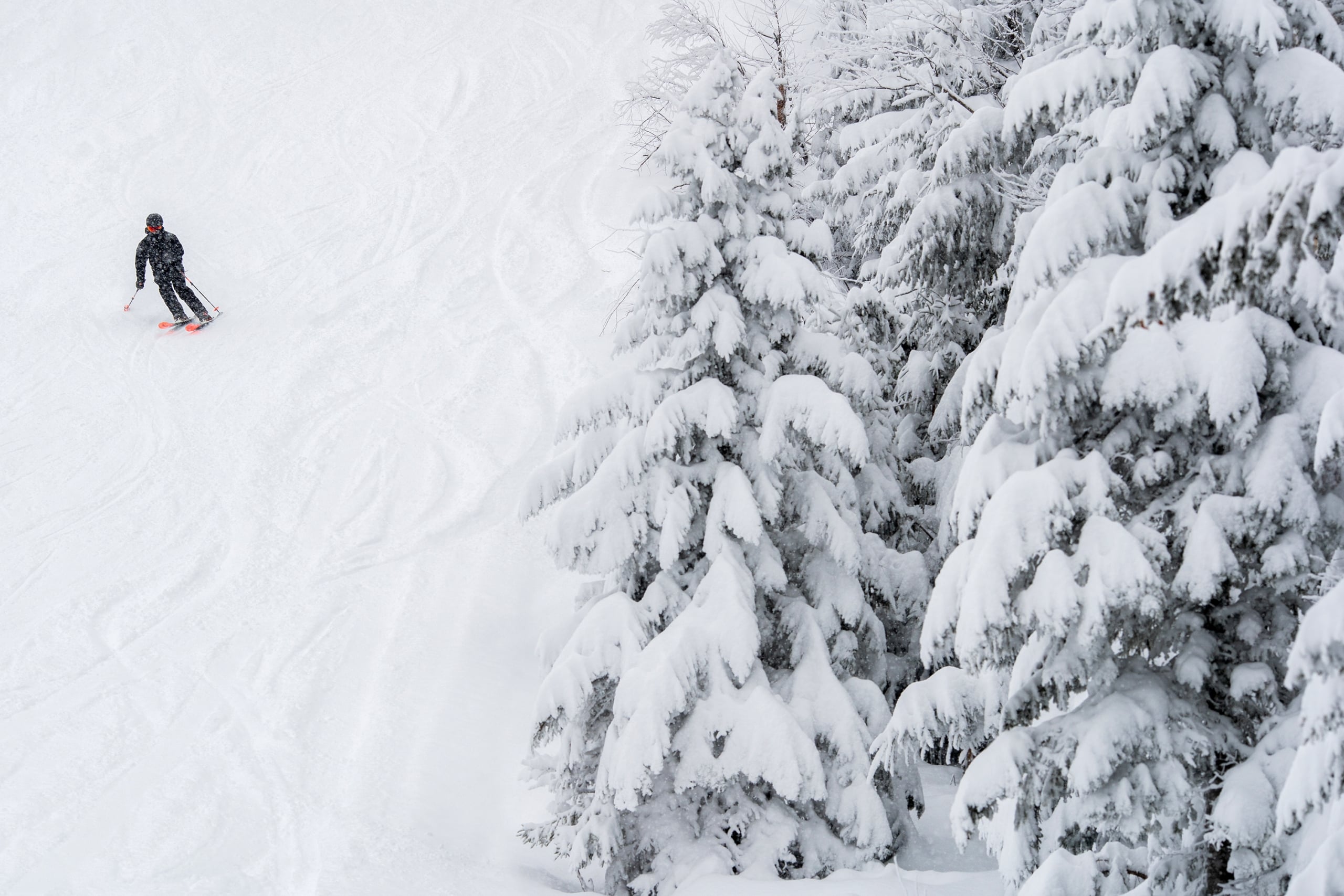 Bretton Woods Ski Area