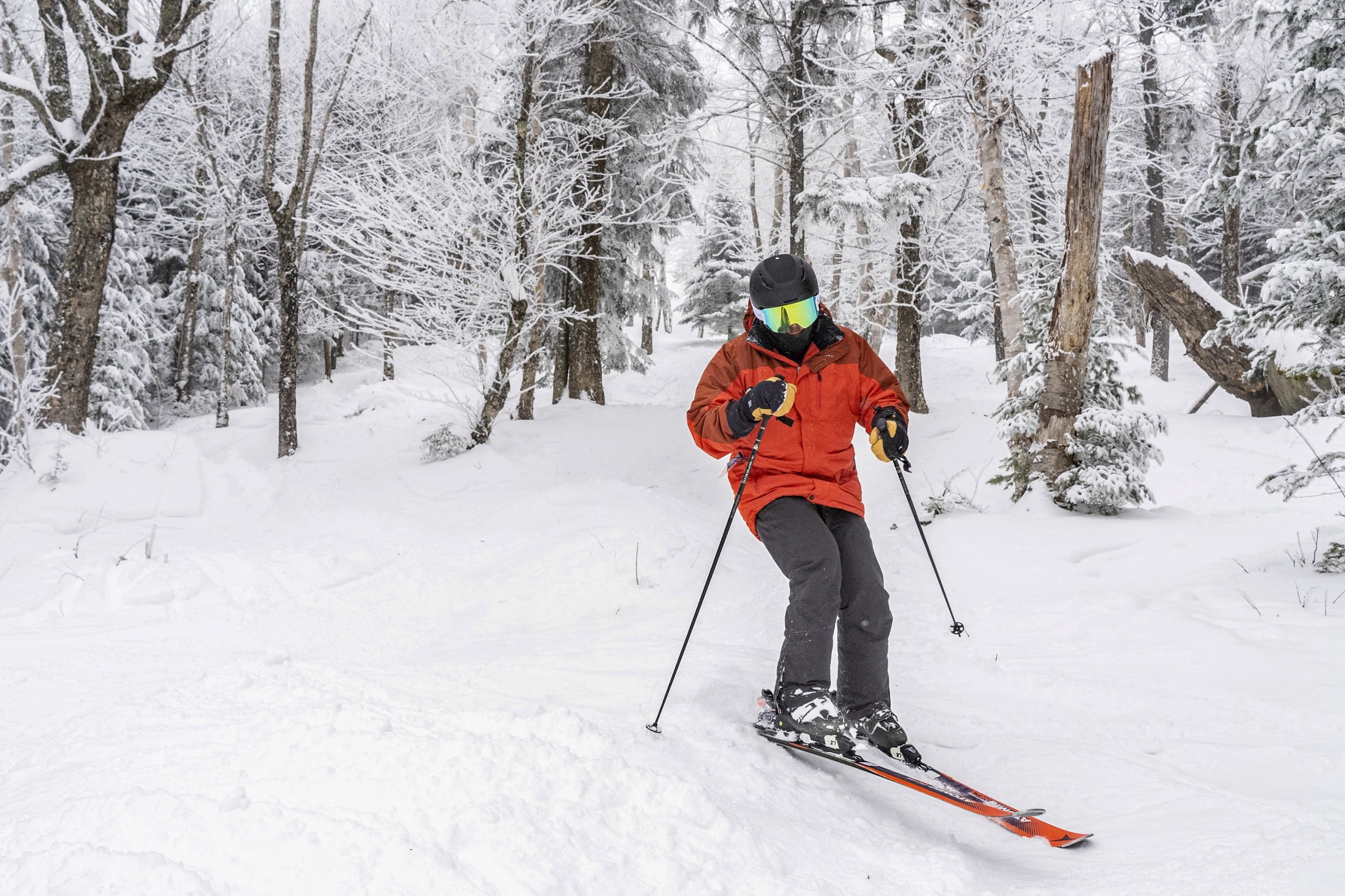 Bretton Woods Ski Area Glade Skiing