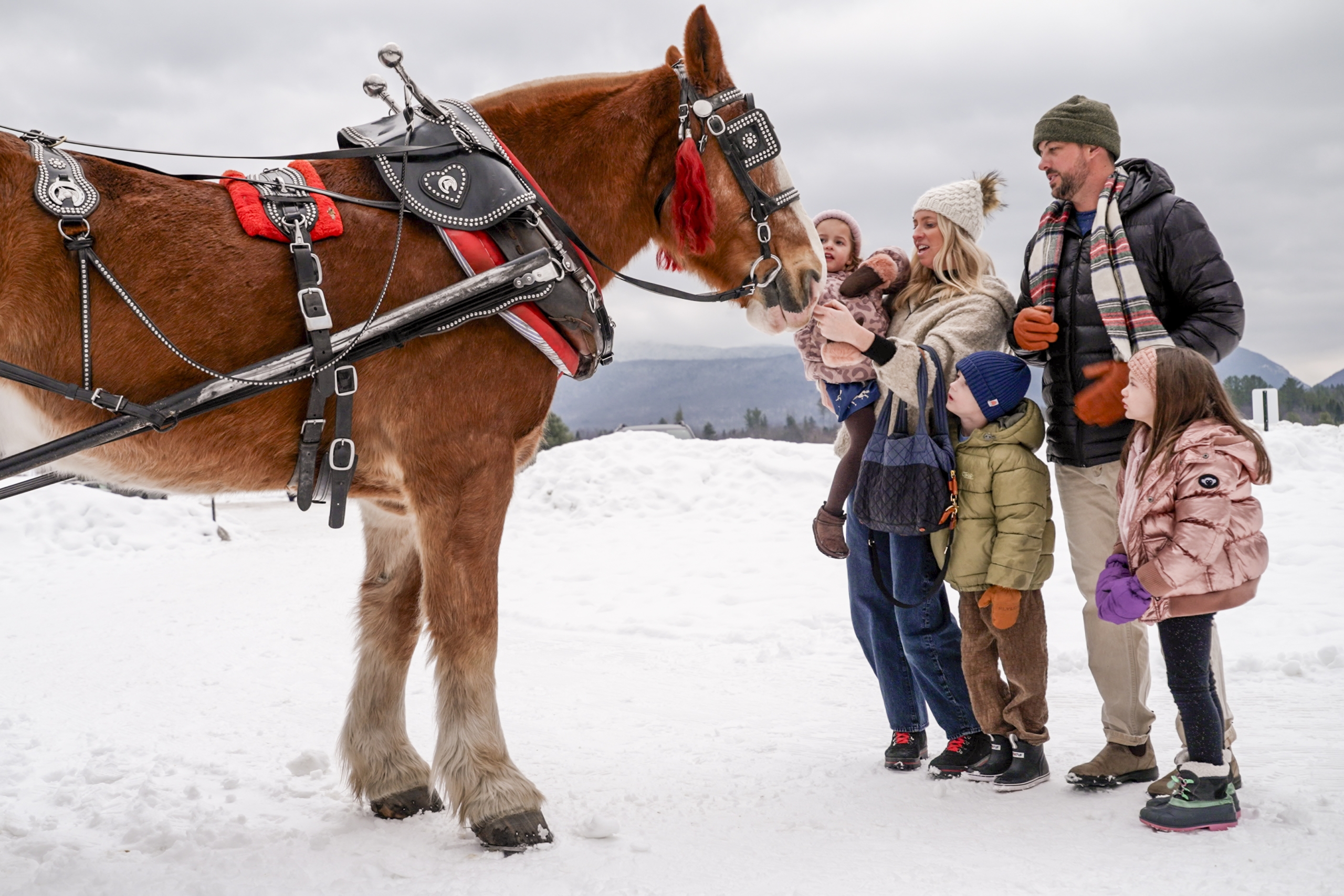 Family visiting a horse at Omni Mount Washington Resort & Spa
