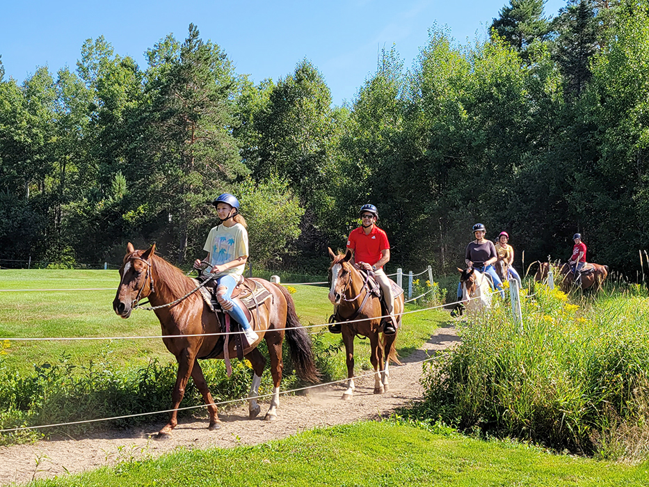 It's hard to rein in the fun in Bretton Woods. But hay, no harm, no foal!