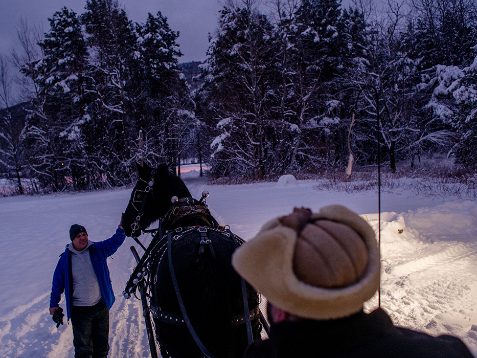 Fresh snow means fresh horse-drawn sleigh rides!