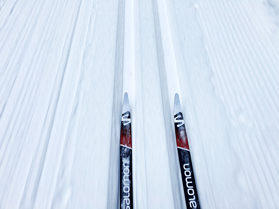 Point of View: Amazing conditions here at Nordic!