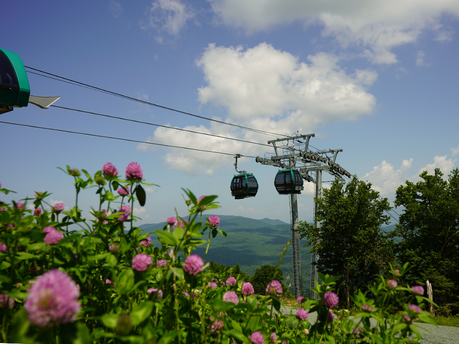 A beautiful day for a scenic gondola ride!