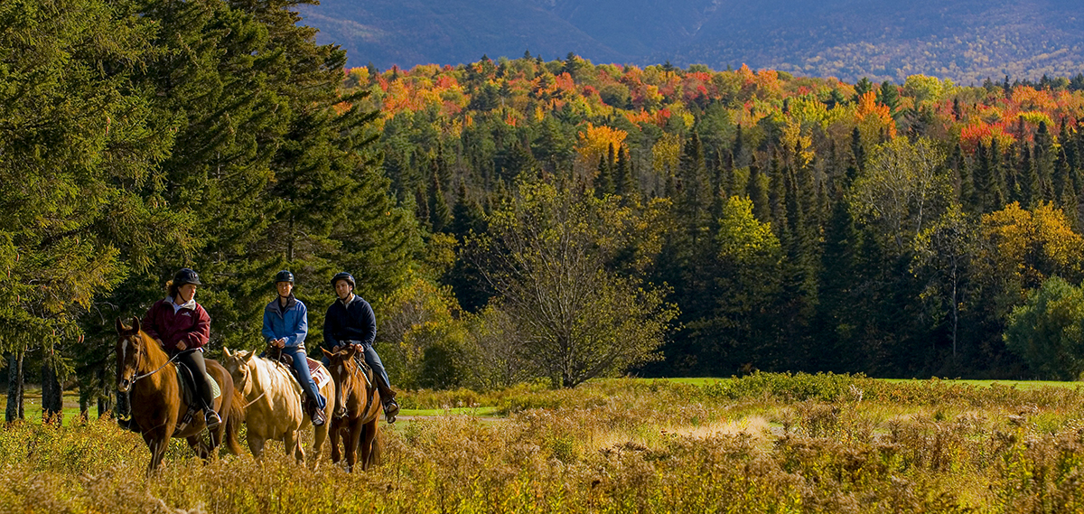 Bretton Woods horseback riding