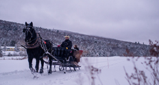 Omni Mount Washington Resort sleigh ride winter