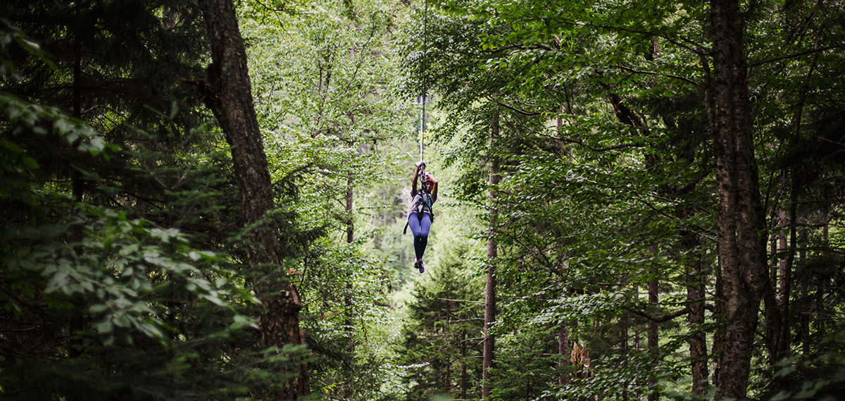 Canopy tour Bretton Woods forest