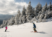 Bretton Woods Ski Area