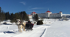 Omni Mount Washington Resort winter sleigh rides